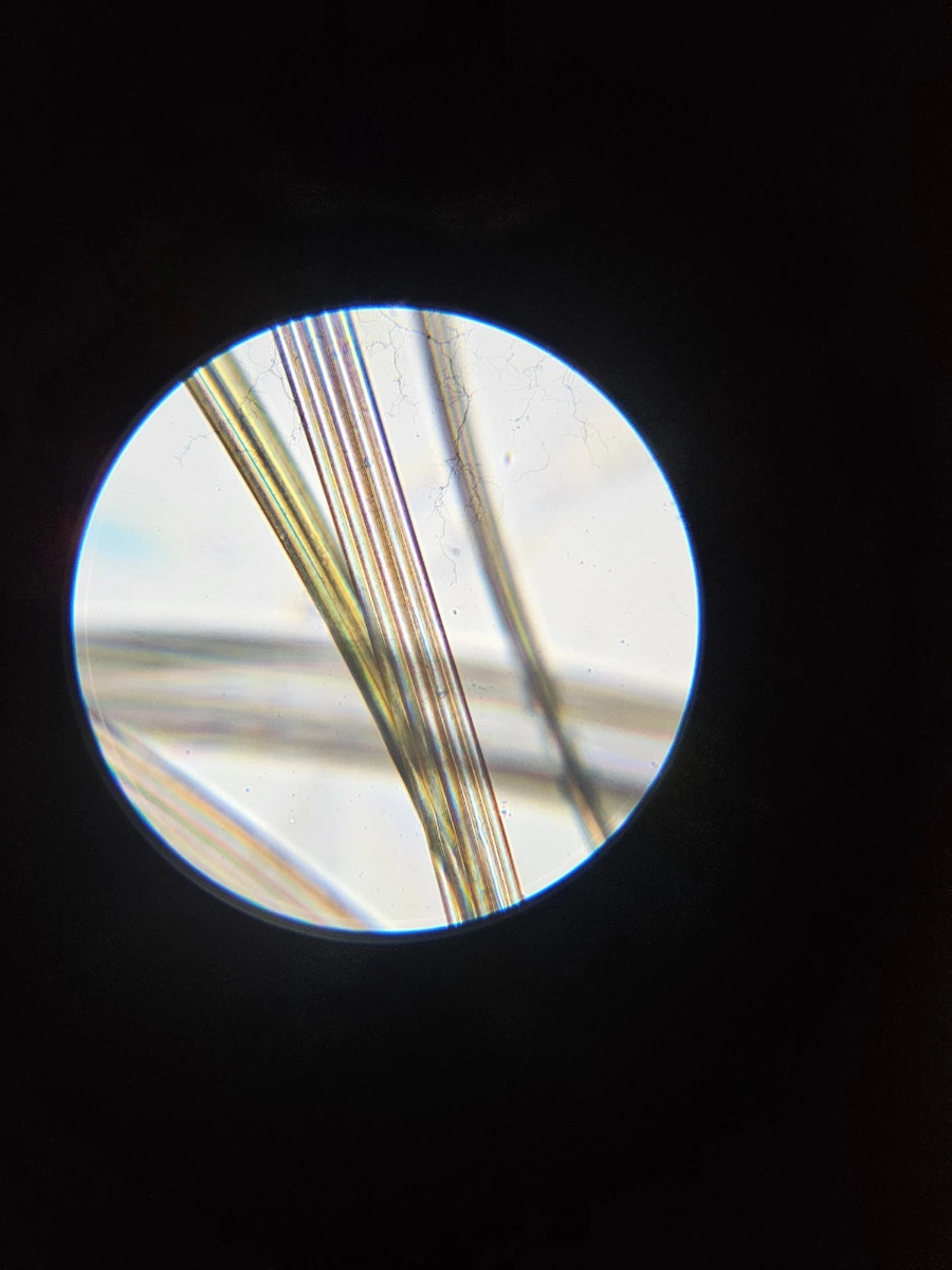 1760026178050.jpg?type=w1