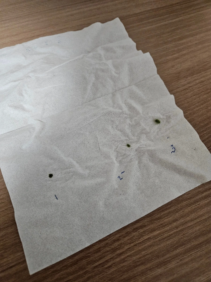 1760026175539.jpg?type=w1