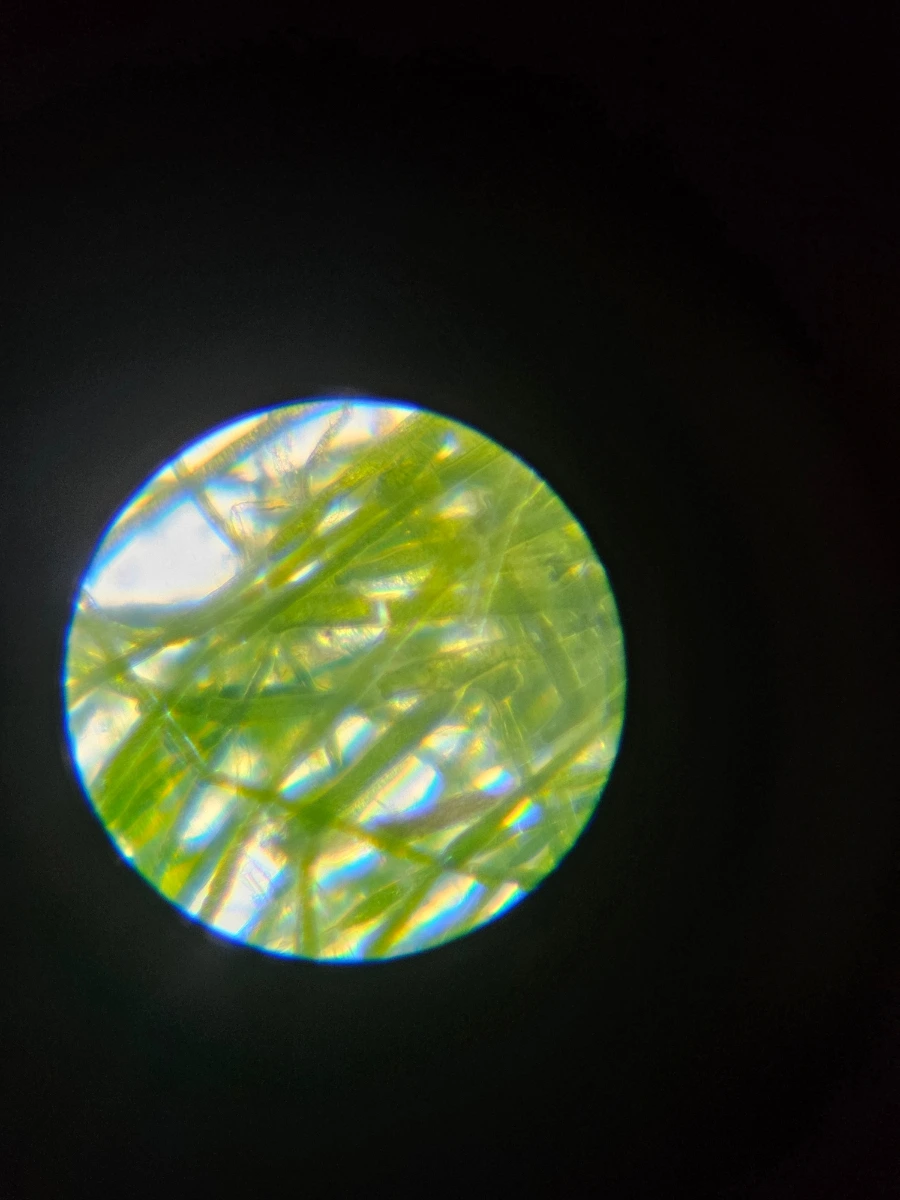 1760029979340.jpg?type=w1