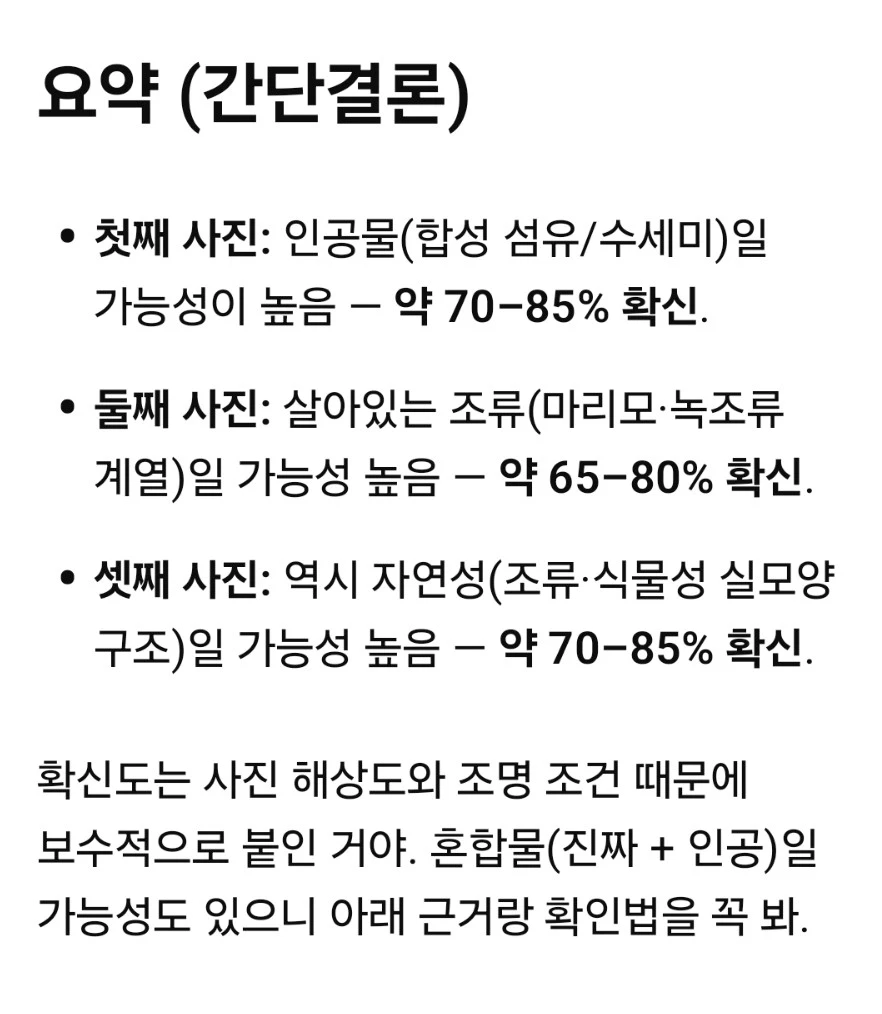 1760174374658.jpg?type=w1