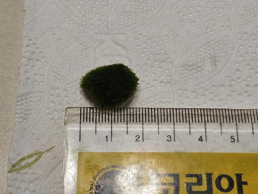 1760026105814.jpg?type=w1