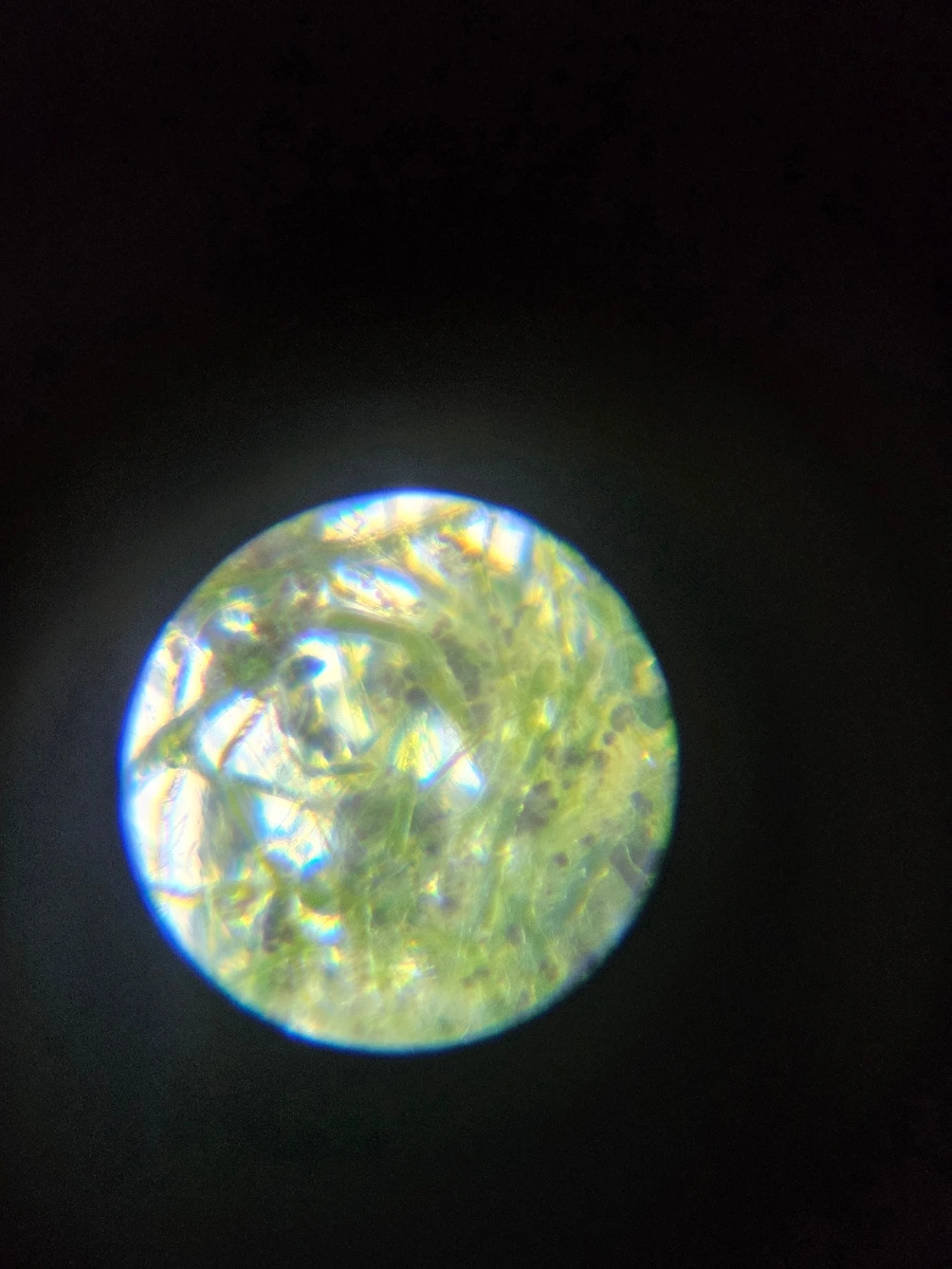 1760029979637.jpg?type=w1