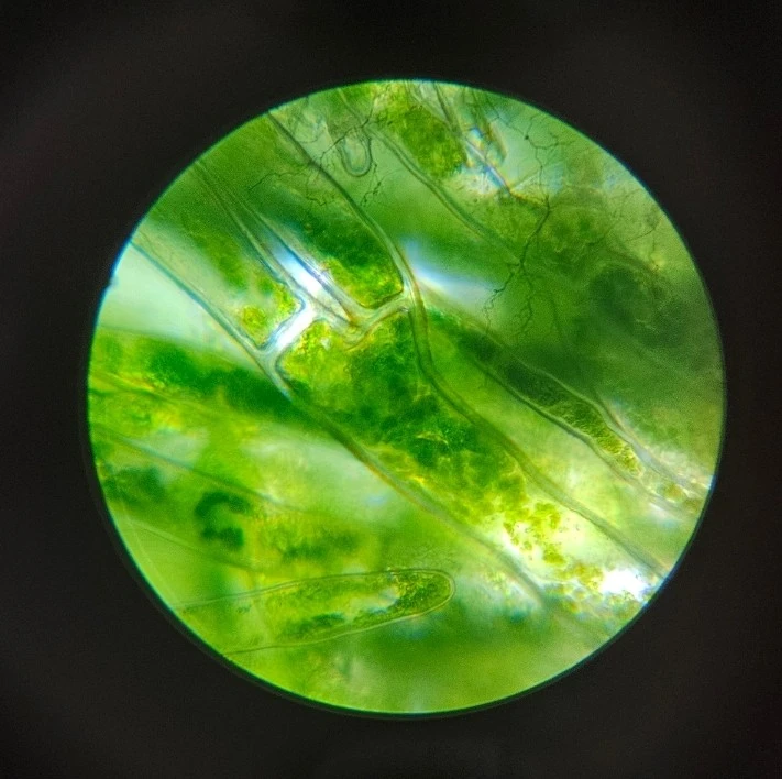 1760174399298.jpg?type=w1