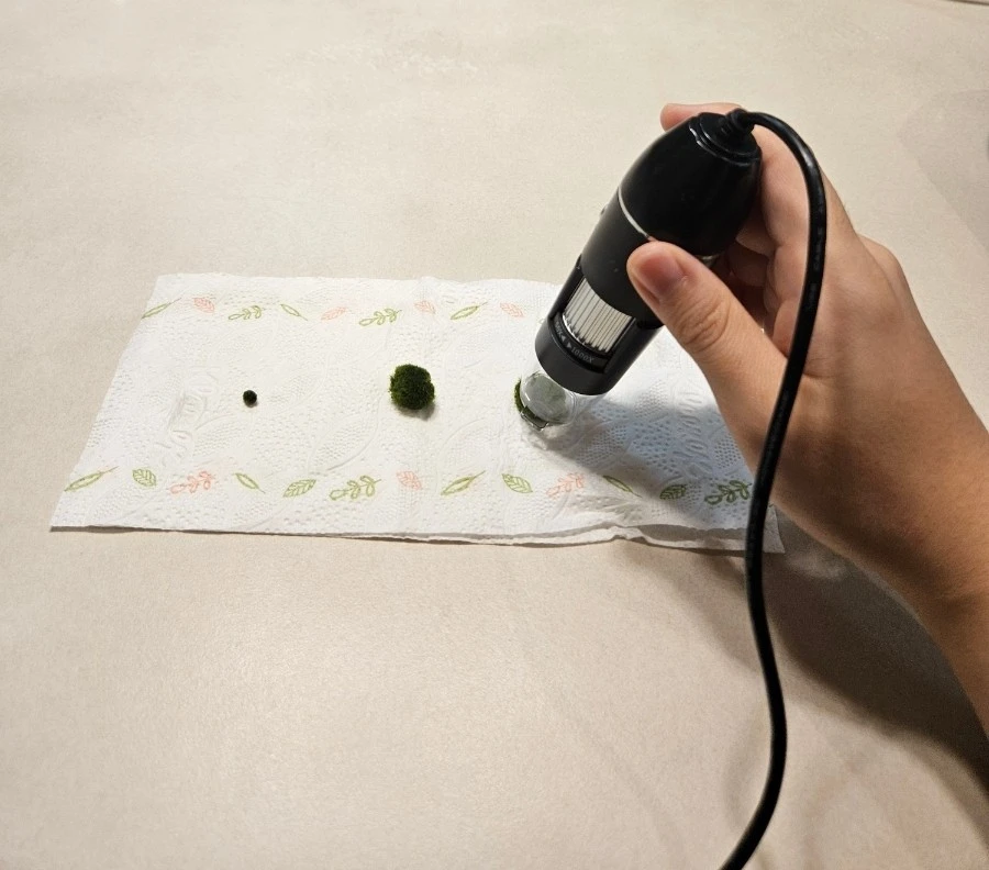 1760174324164.jpg?type=w1