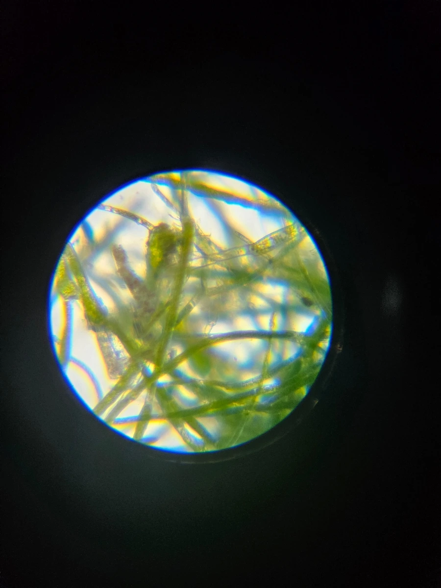 1760029979502.jpg?type=w1