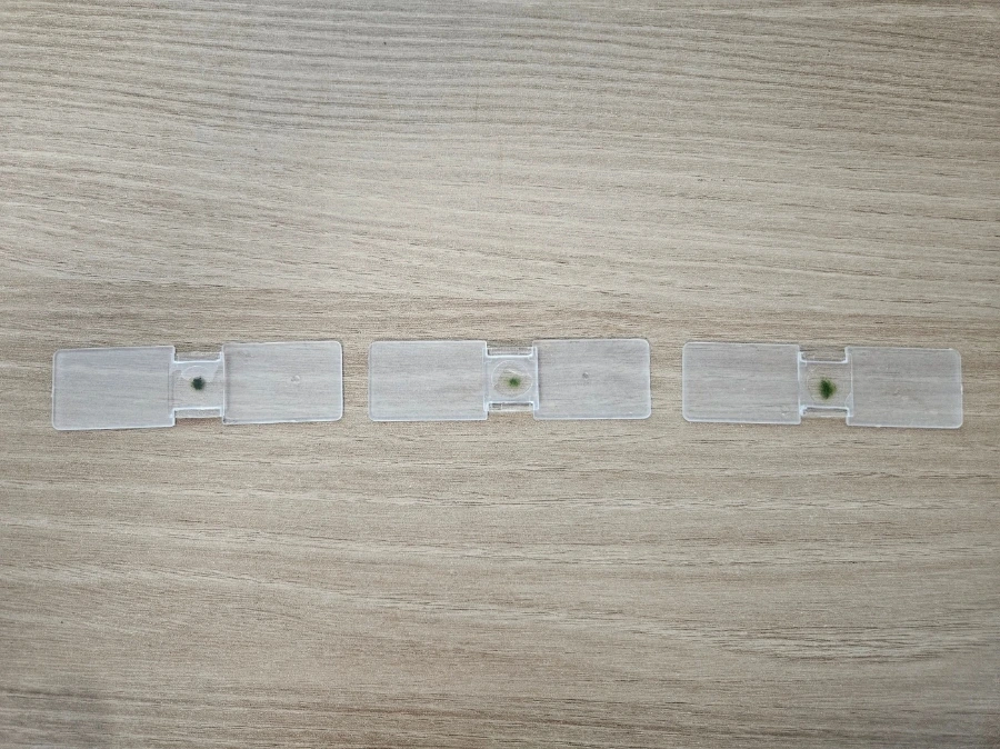 1760029978884.jpg?type=w1