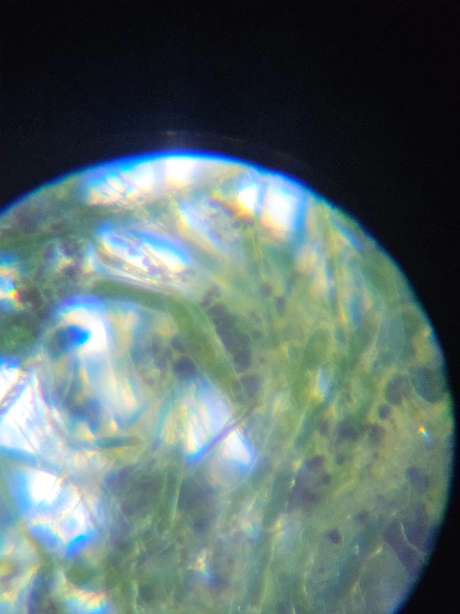 1760029979874.jpg?type=w1