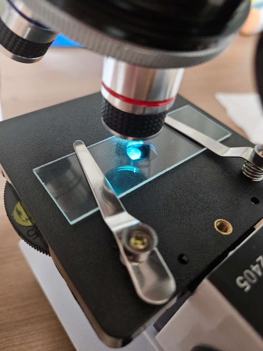 1760026175702.jpg?type=w1