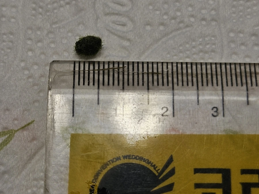 1760026105121.jpg?type=w1