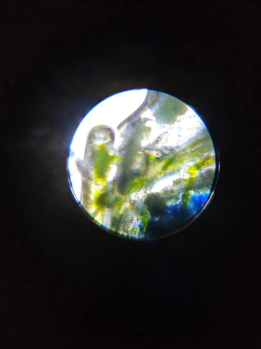 1760026177096.jpg?type=w1