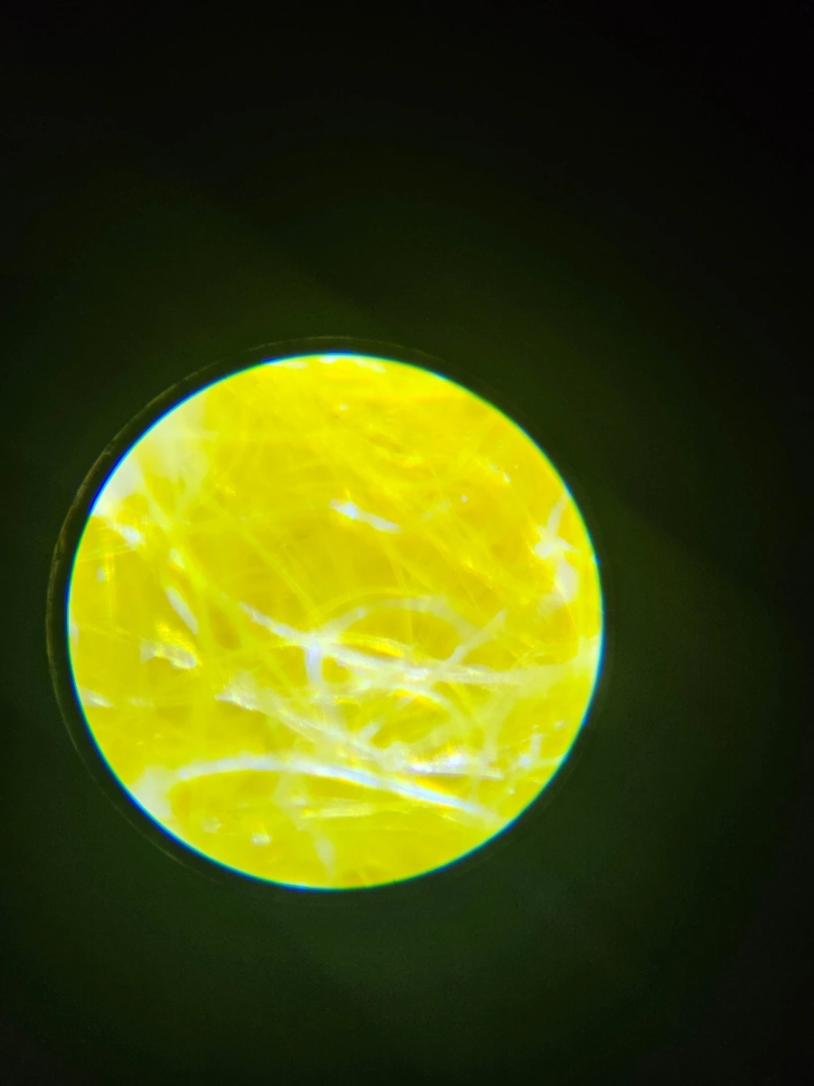 1760026164052.jpg?type=w1