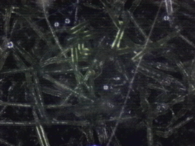 1760026116798.jpg?type=w1