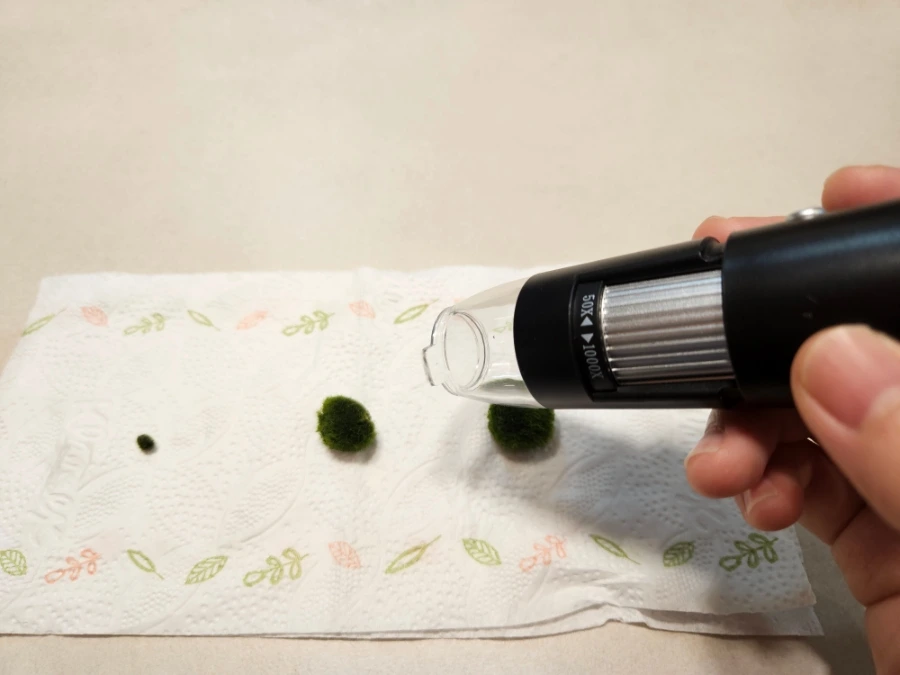 1760026107419.jpg?type=w1