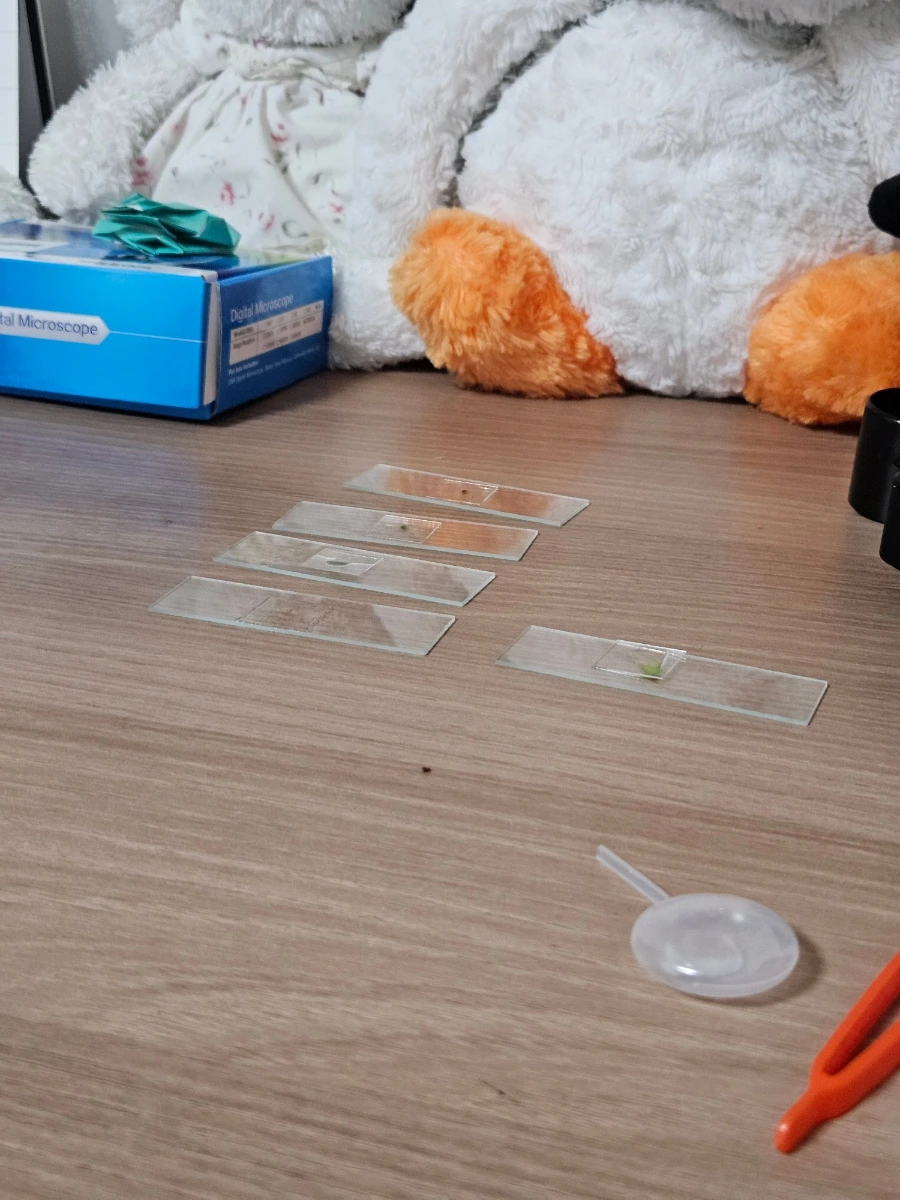 1760062955421.jpg?type=w1