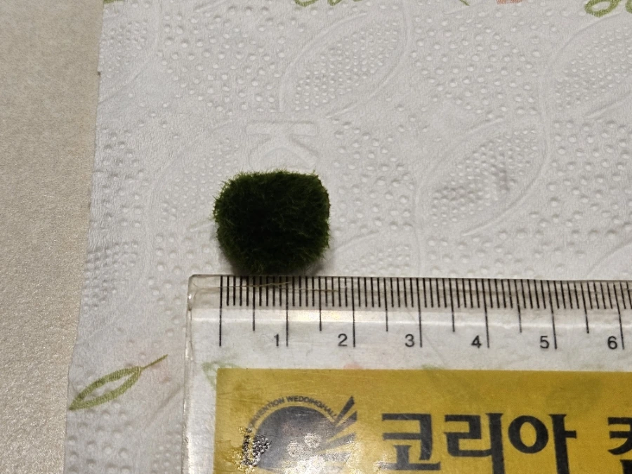 1760026105573.jpg?type=w1