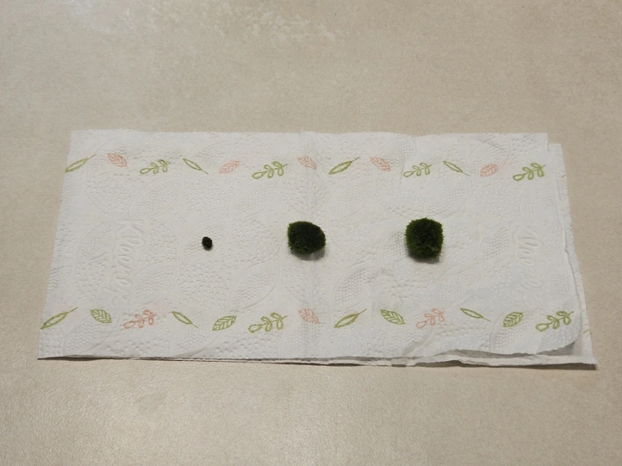 1760026103943.jpg?type=w1