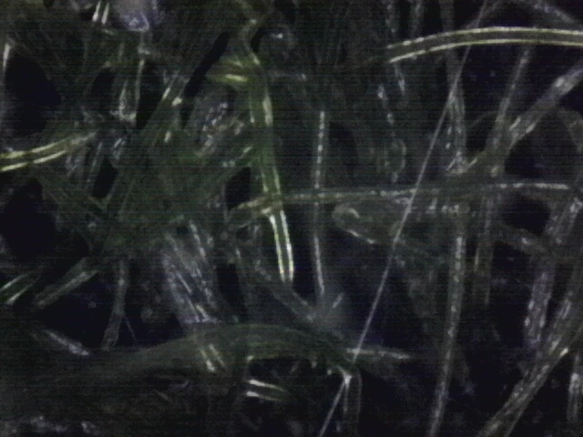 1760026117771.jpg?type=w1