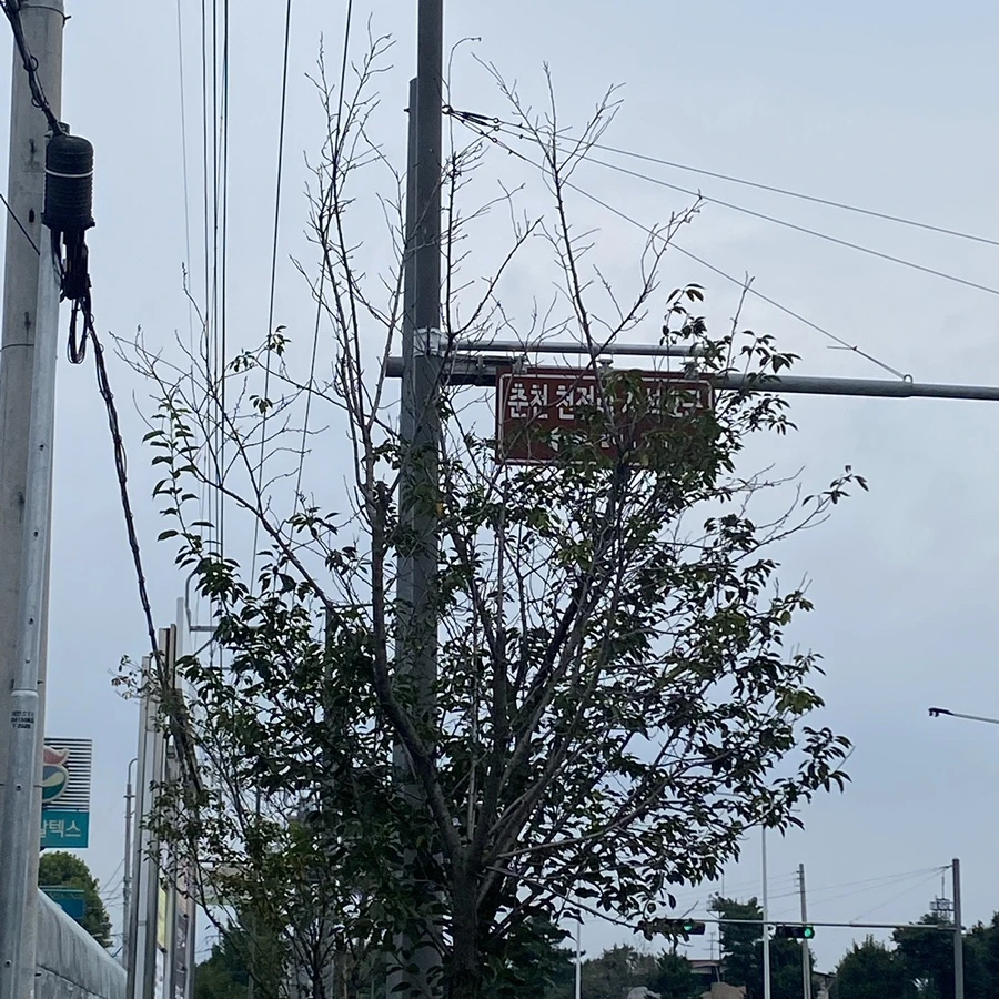 IMG_8259.jpg?type=w1