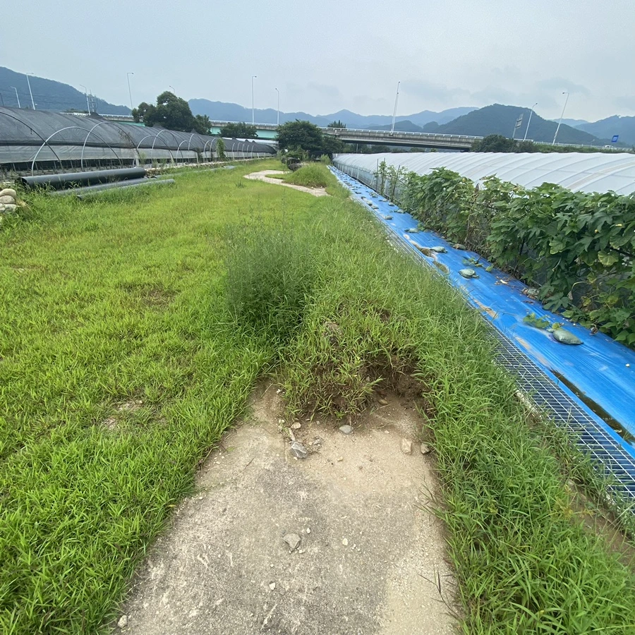 IMG_8255.jpg?type=w1