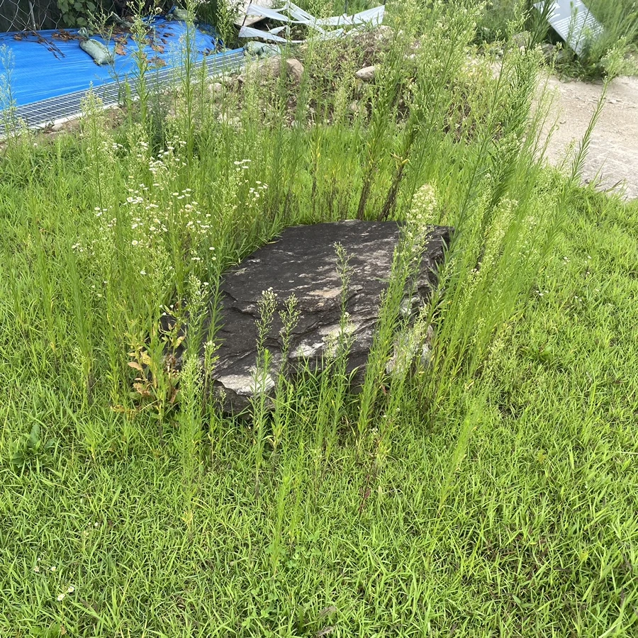 IMG_8256.jpg?type=w1