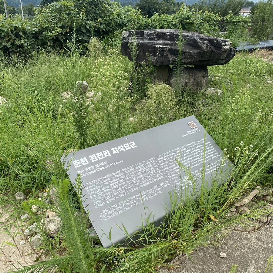 IMG_8247.jpg?type=w1