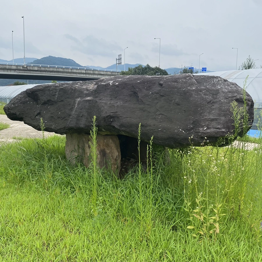 IMG_8248.jpg?type=w1