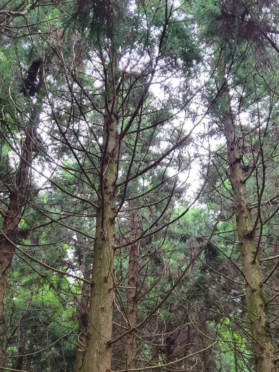 1593939235529.jpg?type=w1