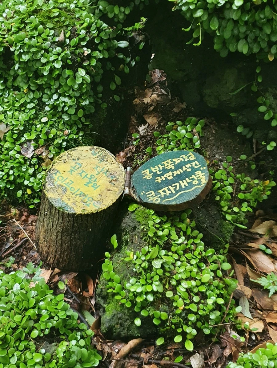 1595315979999.jpg?type=w1