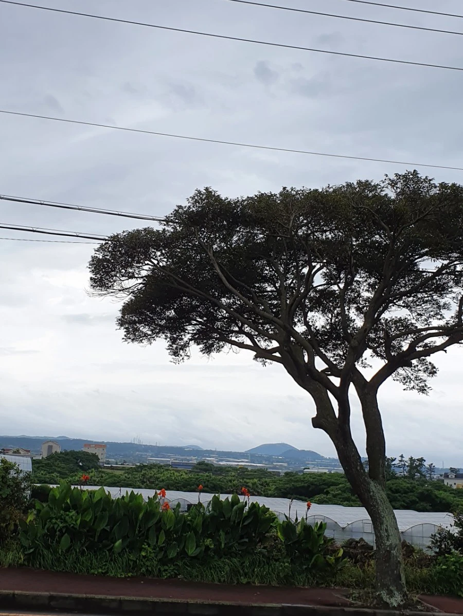 1595315758817.jpg?type=w1