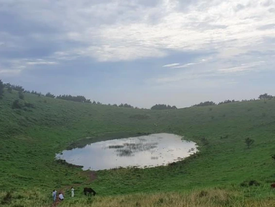 1594555293097.jpg?type=w1