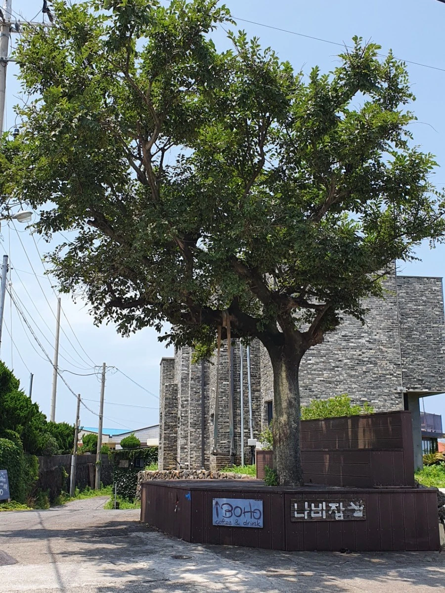 1595316237042.jpg?type=w1