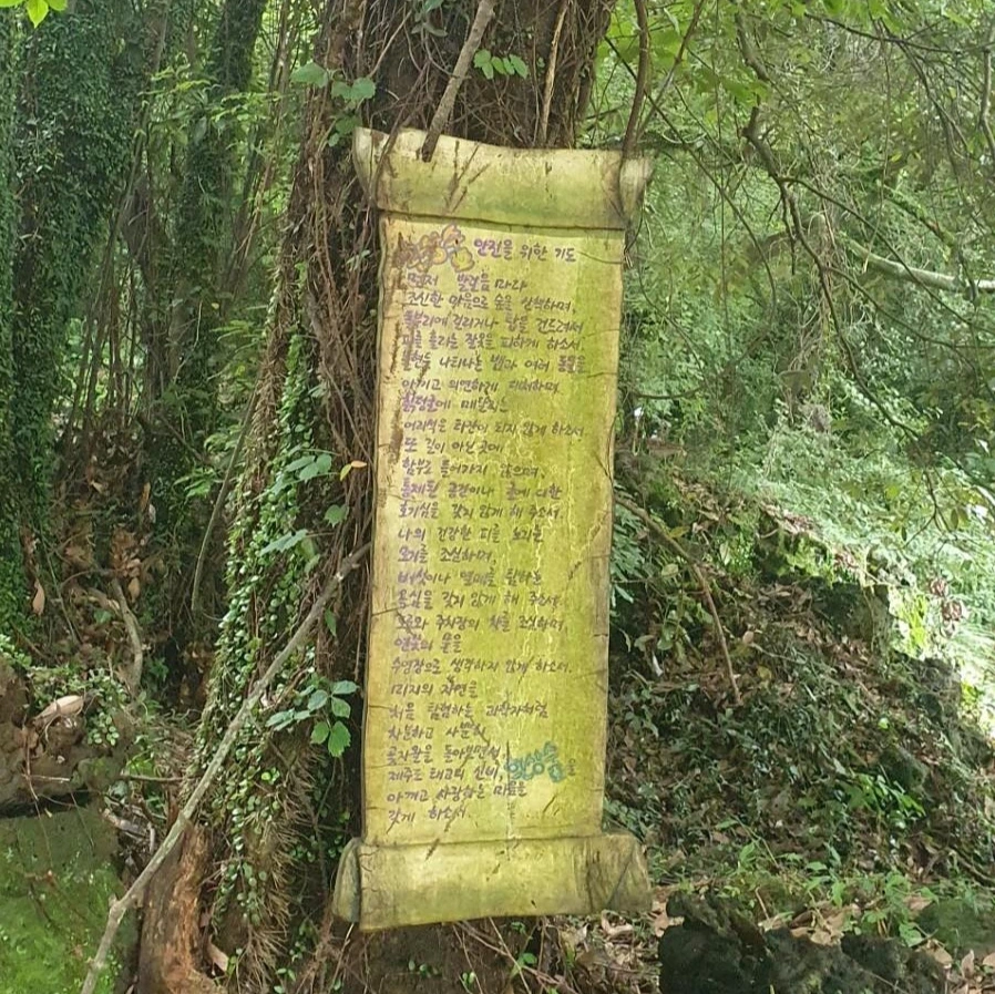 1595315979311.jpg?type=w1