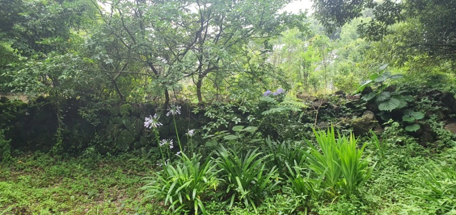 1594555291349.jpg?type=w1