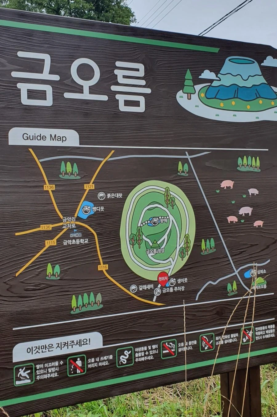 1594555292148.jpg?type=w1