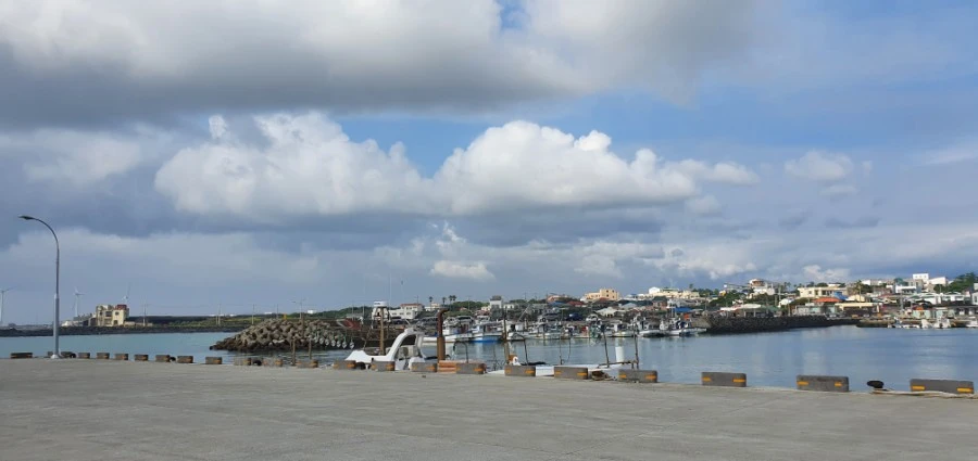 1594363246381.jpg?type=w1