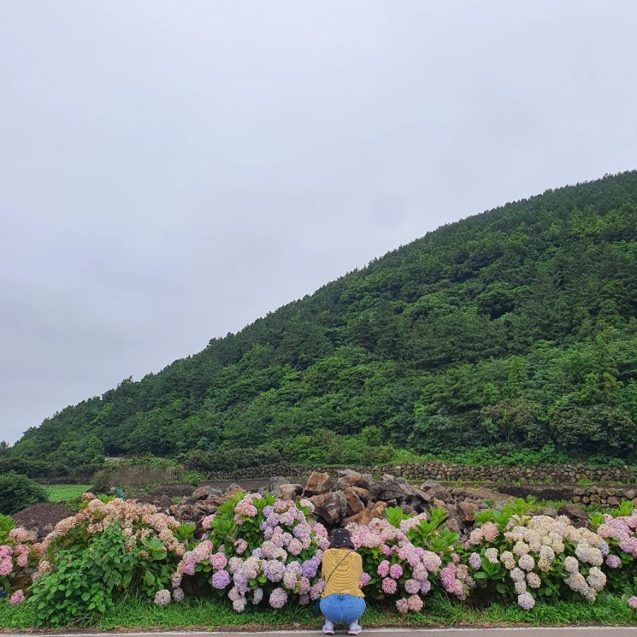 1593942862994.jpg?type=w1