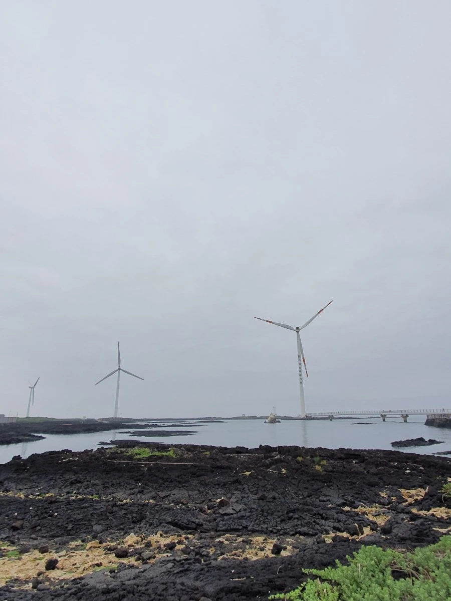 1595315980631.jpg?type=w1