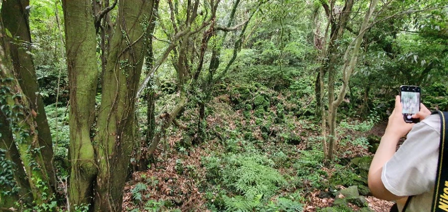 1594555289425.jpg?type=w1