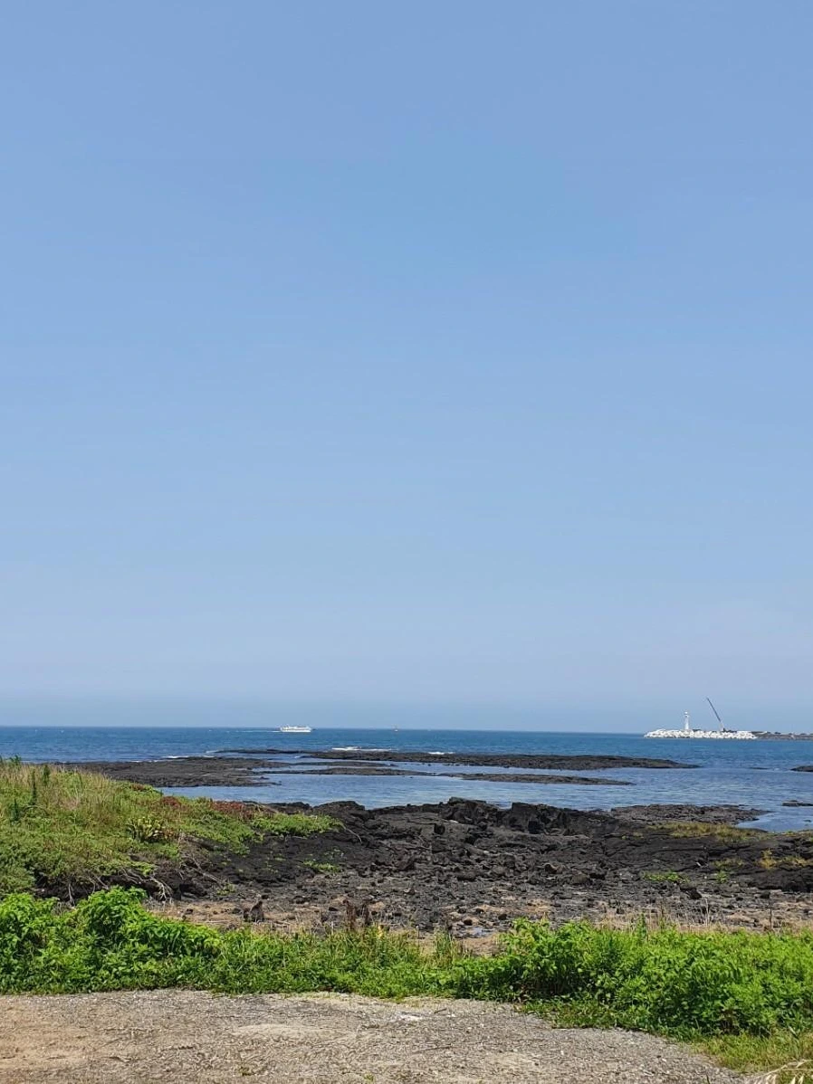 1595316239990.jpg?type=w1