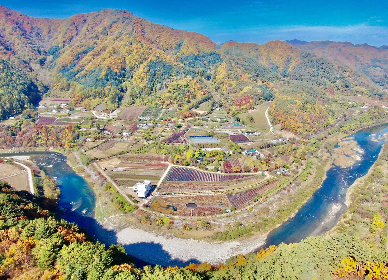 낭만농객 냇강마을_1.jpeg