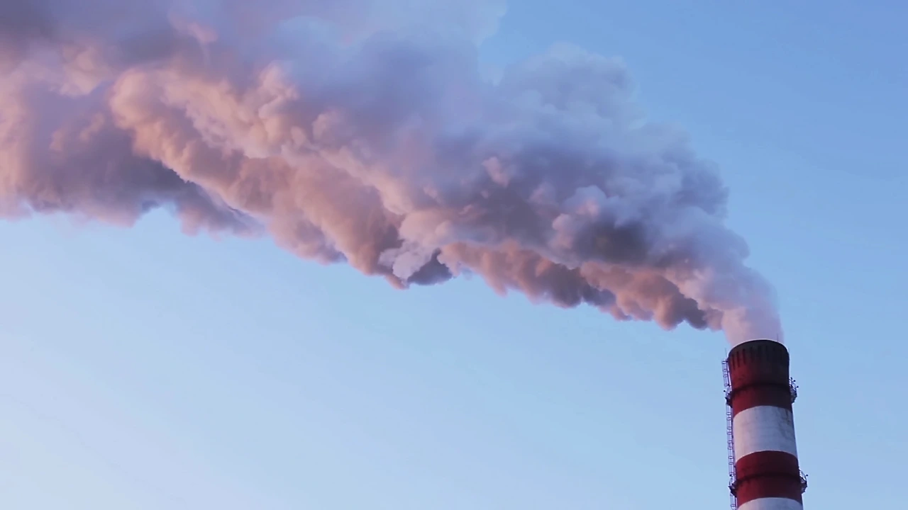 [DLCS] 플래닛 인터뷰_윤회_클린_230909[(003103)2023-09-11-15-46-19].JPG