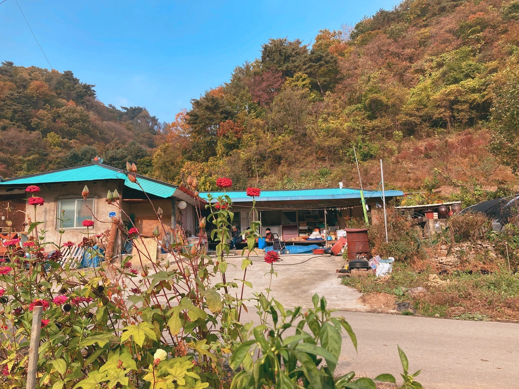 낭만농객 냇강마을_4.jpeg