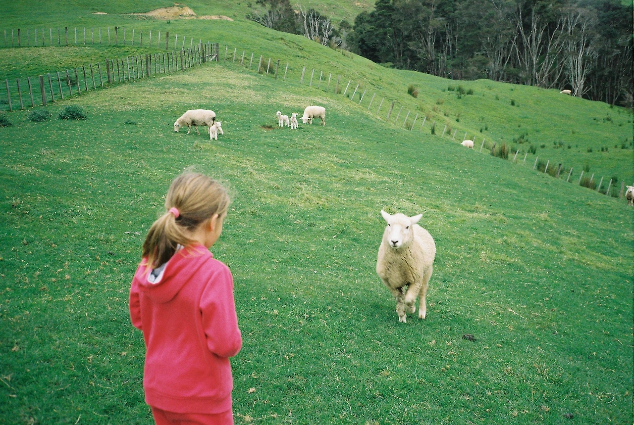 201908_헌틀리_양목장_달려오는 펫쉽.JPG