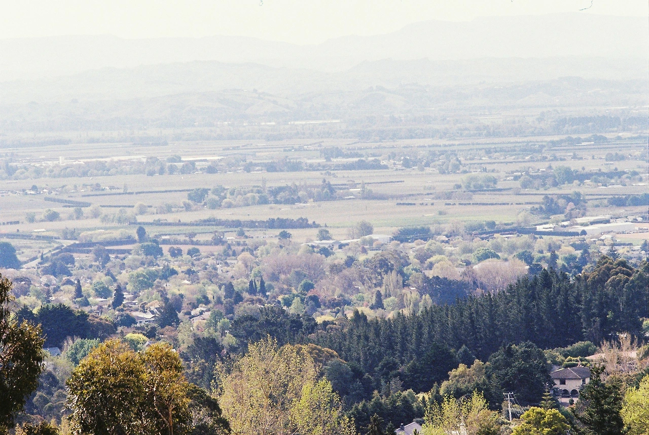 2021 헤이스팅스 전경_나무들.JPG