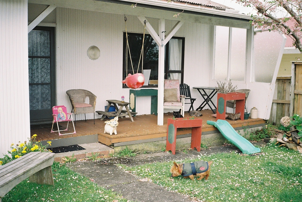 2019 헌틀리 강아지가 있는 예쁜 집.JPG