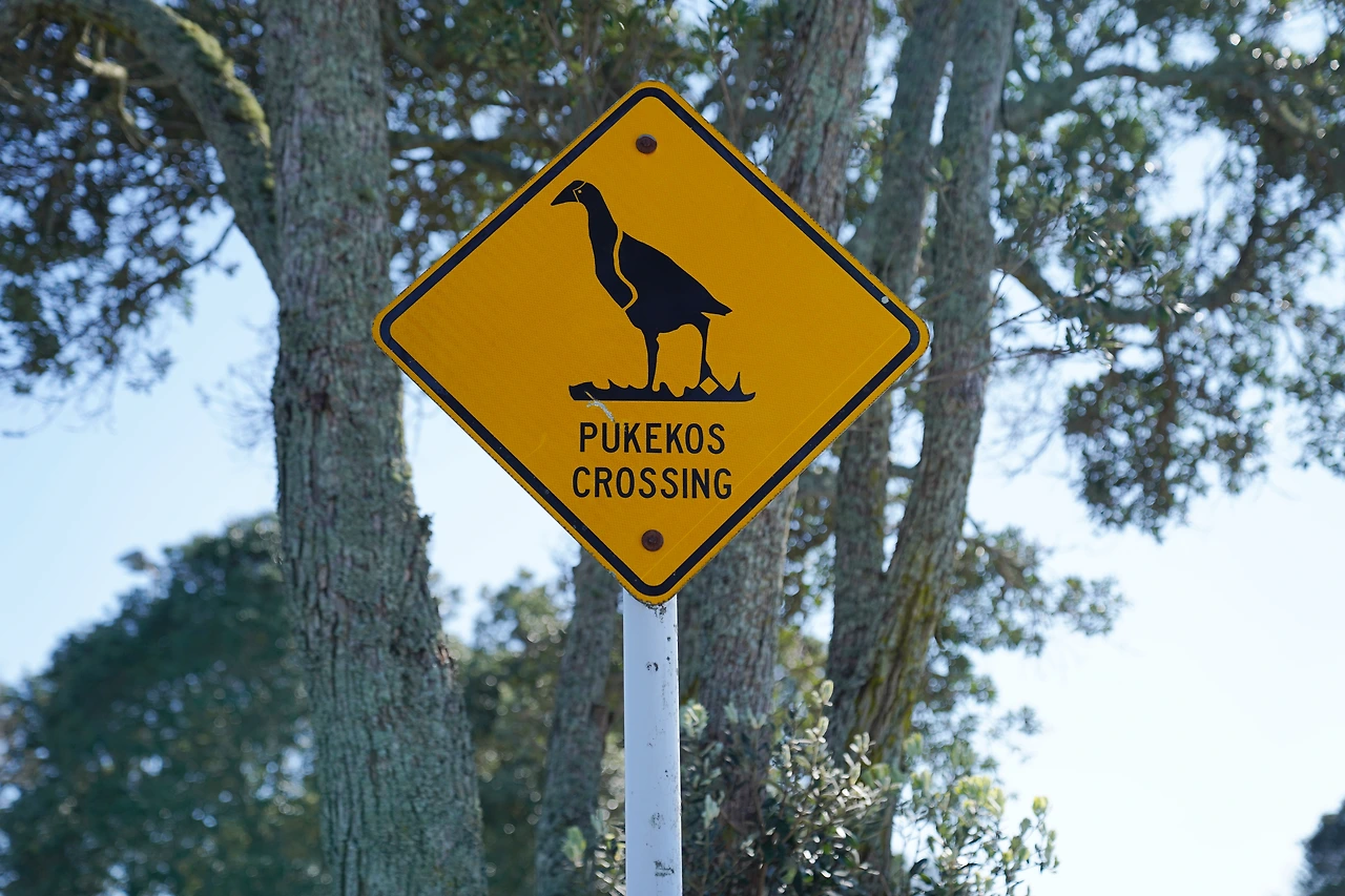 푸케코 사인.JPG