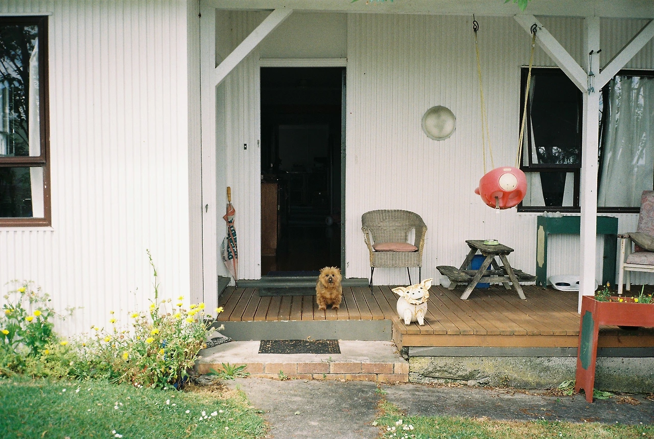 2019 옆집 강아지.JPG