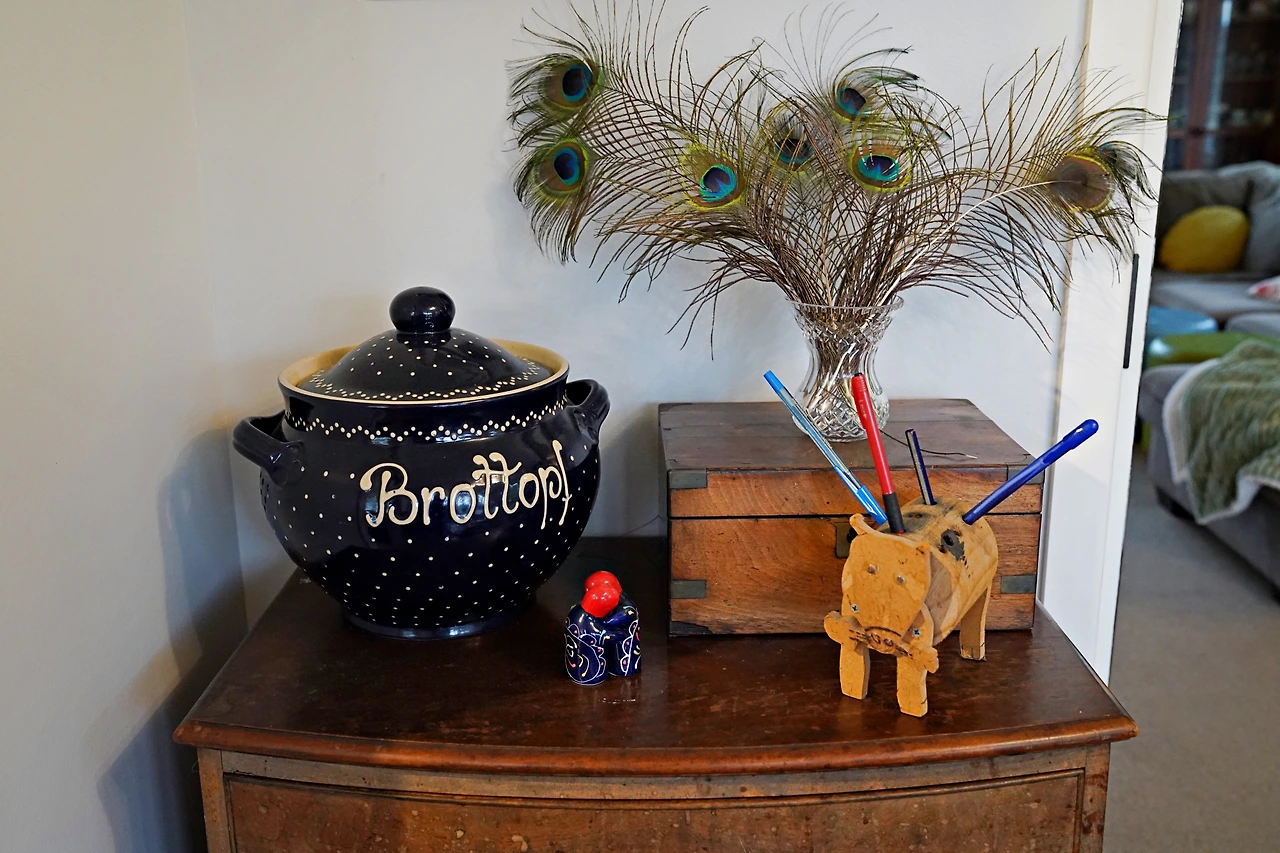 아니타 집 공작새 깃털.JPG