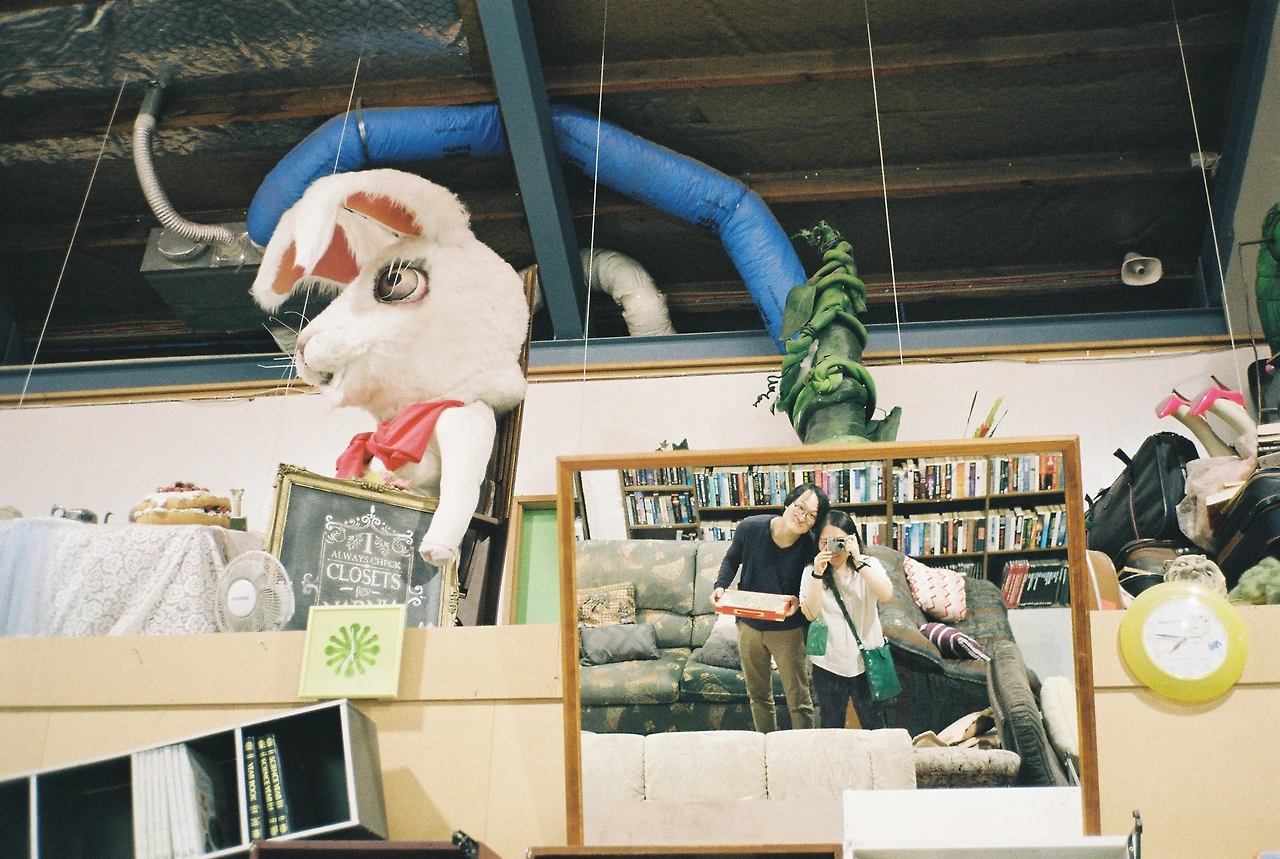 2019  해밀턴 세컨핸드 샵 앨리스 컨셉2_겨레 혜영.JPG