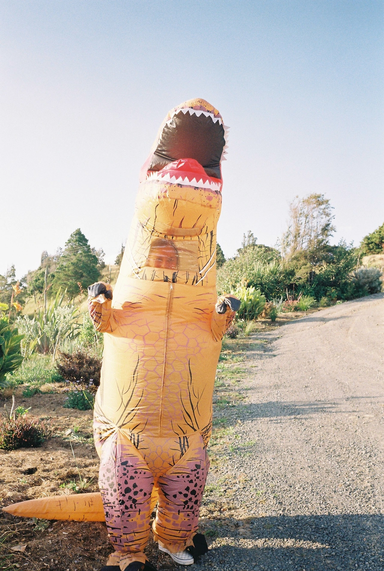 201912 크리스마스 파티_공룡분장.JPG